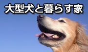 大型犬と暮らす家