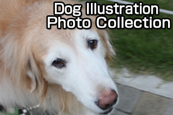 Dogillustphoto350-233-1.jpg