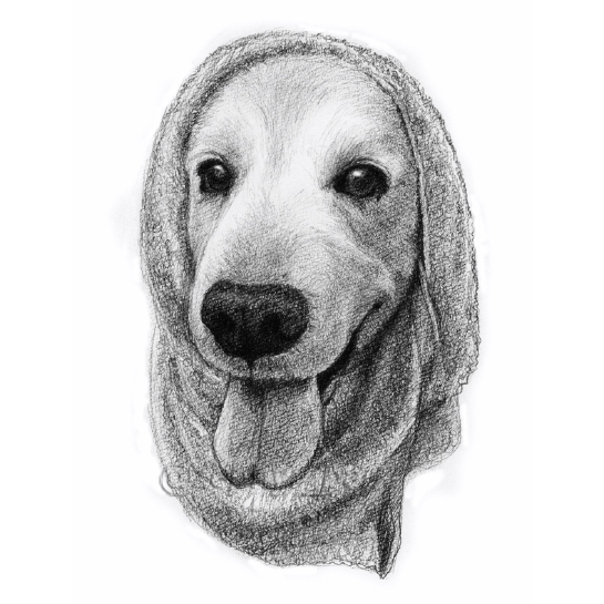 ワンコイラスト
