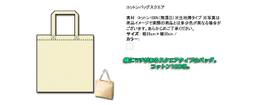 横にマチがあるスクエアタイプのバッグ。コットン100％。