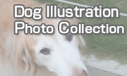 Dog-Illustration-photo180＿108.jpg