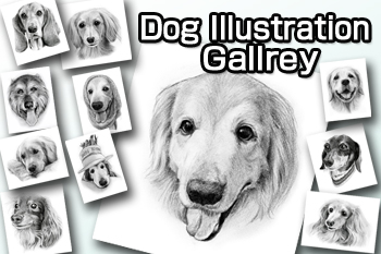 Dog Illustration Gallery