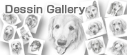 Dessin Gallery